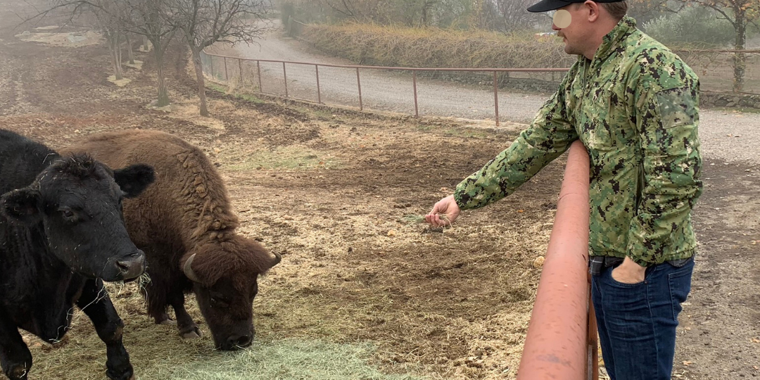 Billy feeding animals